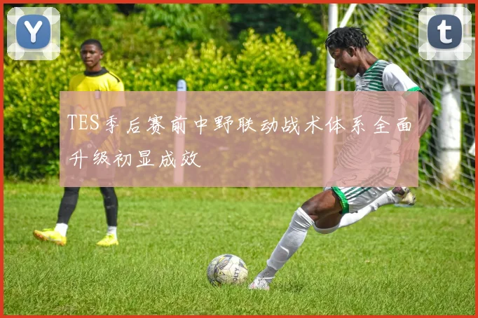 TES季后赛前中野联动战术体系全面升级初显成效