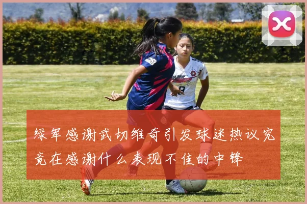 绿军感谢武切维奇引发球迷热议究竟在感谢什么表现不佳的中锋