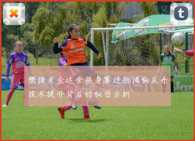 樊振东全运会热身赛连胜揭秘反手技术提升背后的秘密分析