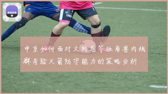 申京如何面对文约恩等独角兽内线群考验火箭防守能力的策略分析